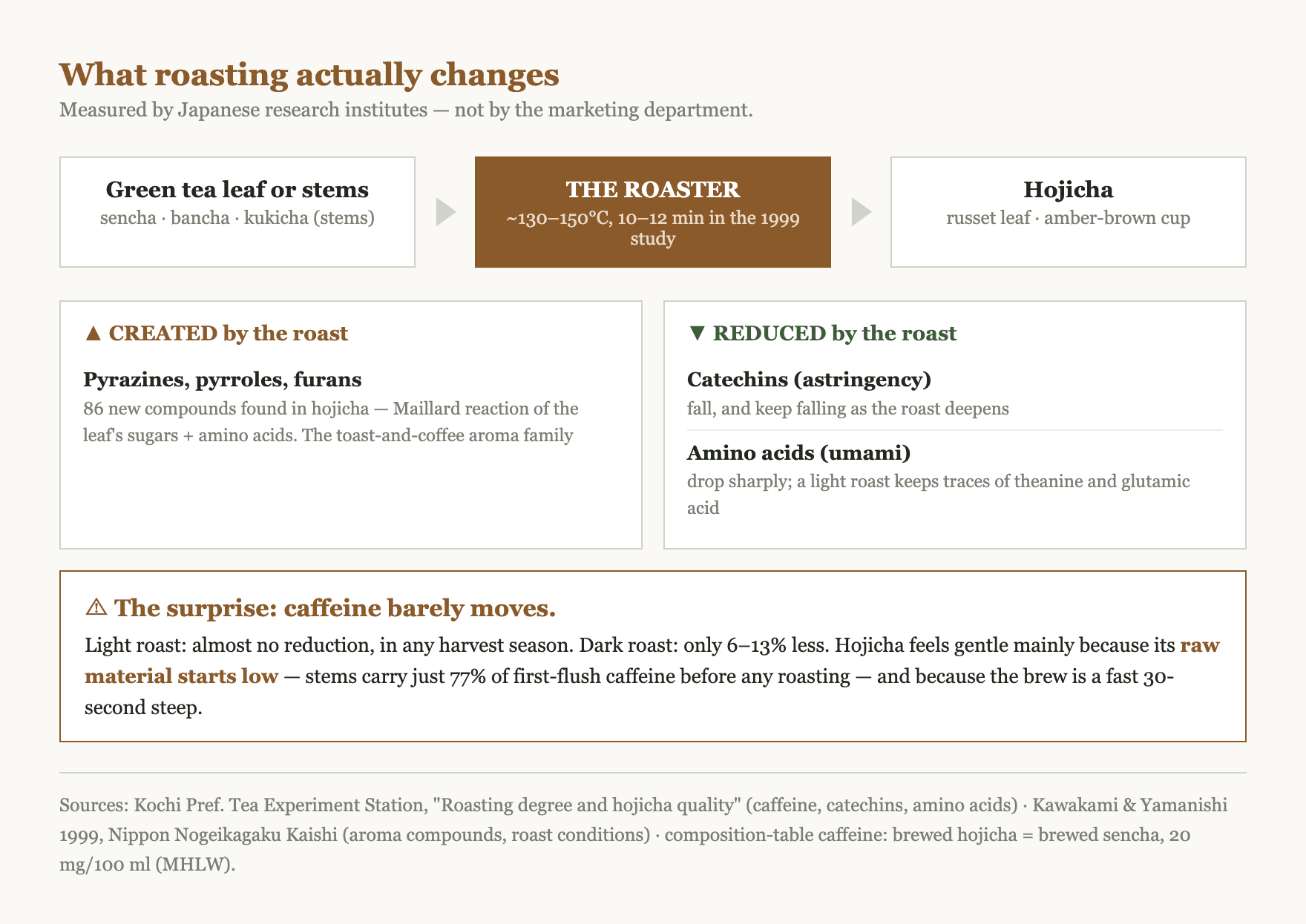 Chart summarizing what roasting changes in hojicha: pyrazine aroma compounds are created, catechins fall, amino acids fall sharply, while caffeine barely moves, with light roasting removing almost none and dark roasting six to thirteen percent